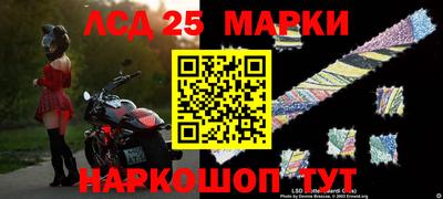 гидра Моздок