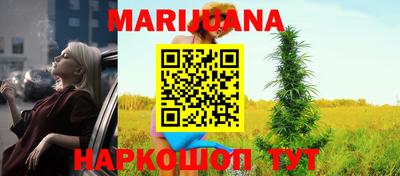гидра Моздок