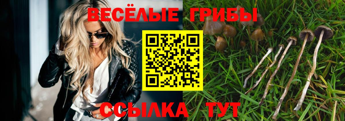 Псилоцибиновые грибы GOLDEN TEACHER  Вход с VPN  Тихвин  Псилоцибиновые грибы Cubensis 